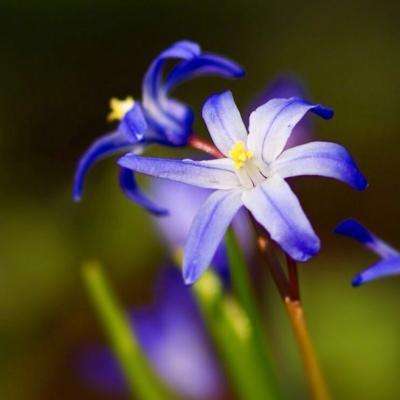 金博宝下载手机版