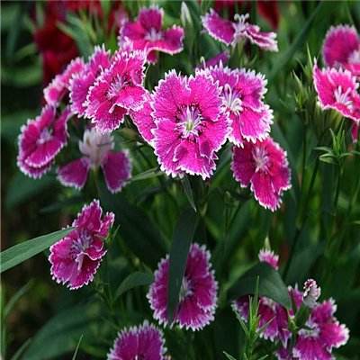 江南娱乐jn平台下载