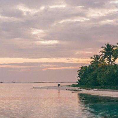 威斯尼斯wns888入口官方版下载